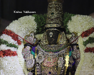 Vaikunta, Ekadesi,Paramapatha Vasal,Dharisanam, Sri PArthasarathy Perumal, Perumal, Venkata Krishna , Varushotsavam, 2018, Video, Divya Prabhandam,Triplicane,Thiruvallikeni,Utsavam,