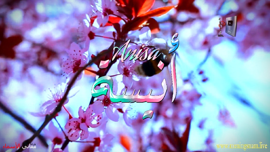 معنى اسم, انيسة, وصفات, حاملة, هذا الاسم, Anisa,