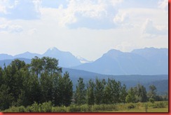 IMG_6772