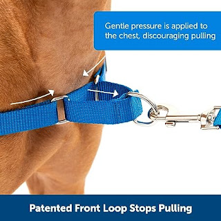 Dog Harness