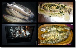 fisch