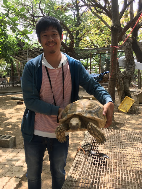 Liuying Animal Ranch , attractions for kids in Tainan, Taiwan