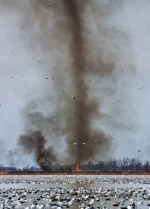 of+tornadoes+and+lightning