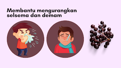 7 Manfaat Buah Elderberry perlu anda tahu