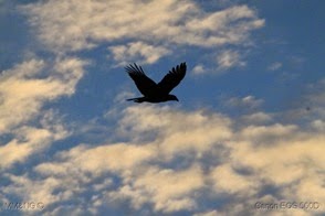 IMG_8199
