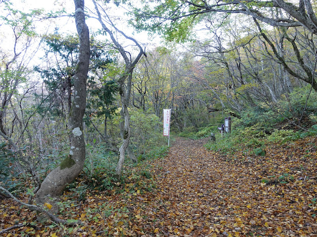 大山　桝水別れ　横手道