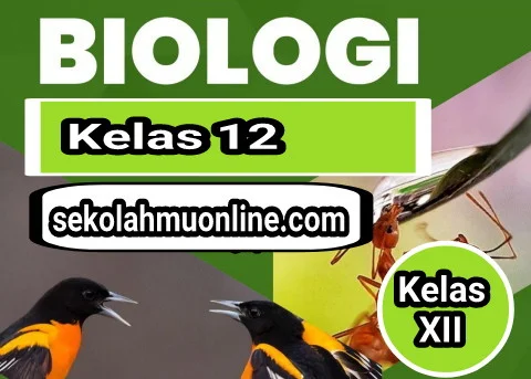 Soal Biologi Kelas XII Bab 3 Materi Genetik dan Kunci Jawabannya