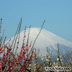 gunung api Fuji Jepang