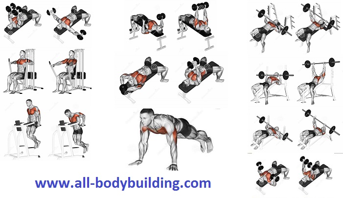 Exercises to Develop a Mighty Chest Fast - all-bodybuilding.com
