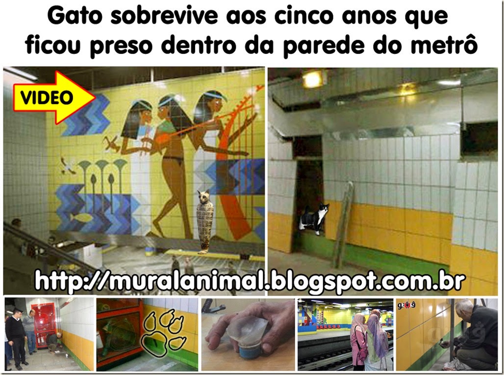 gato_metro