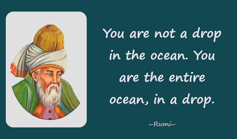 You are not a drop in the ocean. You are the entire ocean, in a drop.