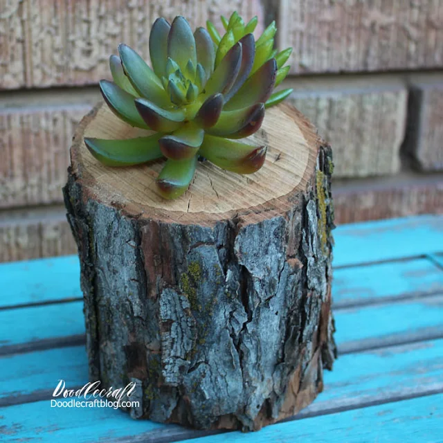 http://www.doodlecraftblog.com/2016/08/succulent-log-planter.html