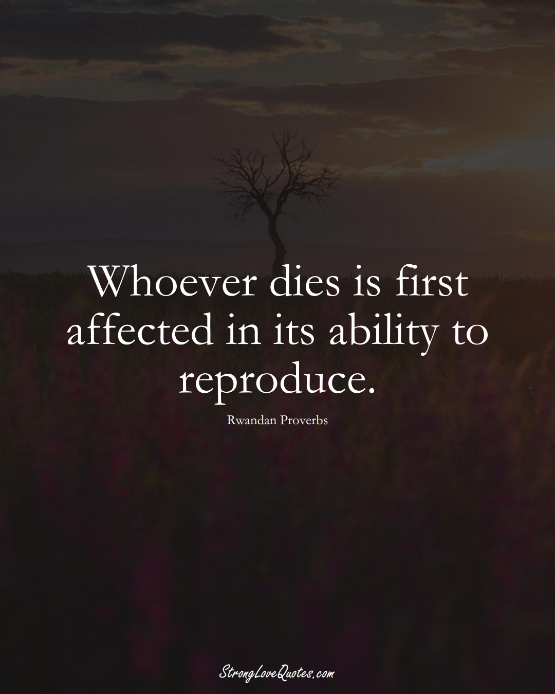 Whoever dies is first affected in its ability to reproduce. (Rwandan Sayings);  #AfricanSayings