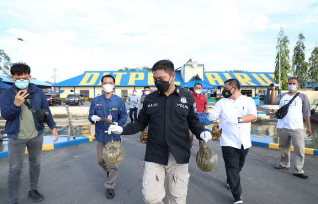 Seorang Nelayan Berdagang Satwa Dilindungi Tanpa Dokumen Resmi Ditangkap Polairud Sumut 