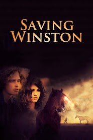 Saving Winston (2011)