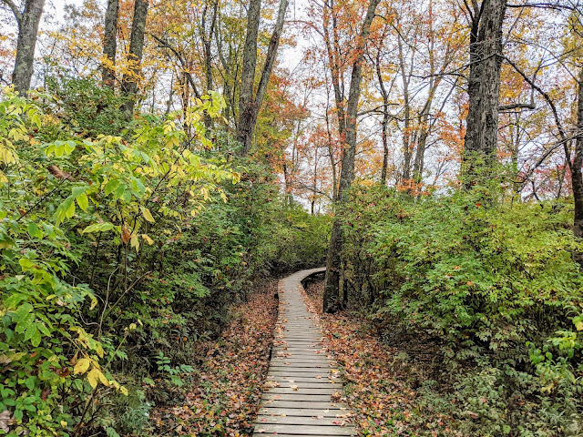 White Memorial Little Pond Boardwalk