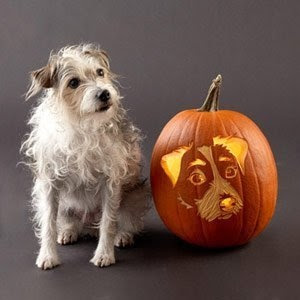 Pumpkin Carving Ideas - Dogs On Pumpkins