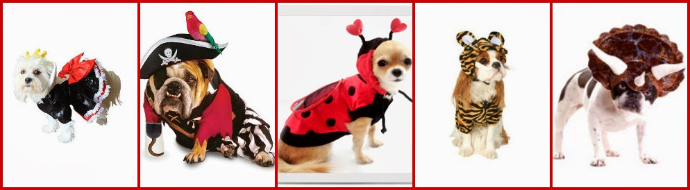 Pet Costumes