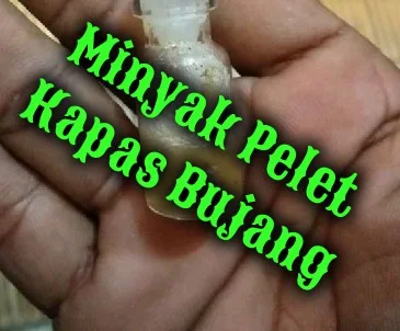 Minsyak Kapas Bujang yang sering sekali menjadi pertanyaan banyak orang (100%) Asli Minyak Pelet Kapas Bujang Melayu √