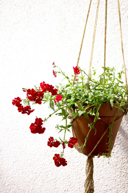 Geknüpfte Blumenampel DIY - Basteln mit Naturmaterialien