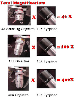 Eyepieces and objective lenses with corresponding magnifications labelled in the images