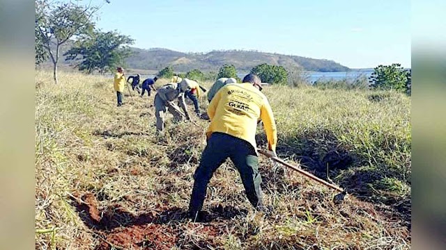 Janela para solicitação de autorização para queima controlada em Goiás fecha em 30 de junho