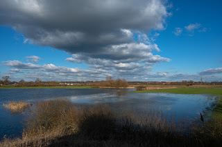 Wildlifefotografie Naturfotografie Lippeaue Olaf Kerber