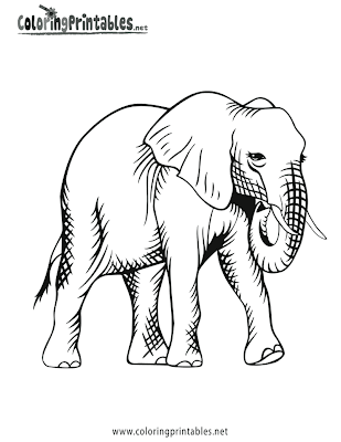 Elephant Coloring Pages