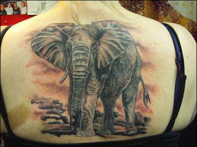 Best Tattoos Picture This is article show best tattoos design and body art 