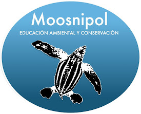 Moosnípol
