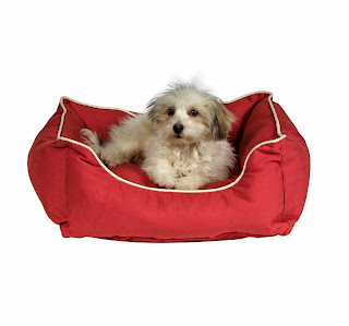 Dog Bed