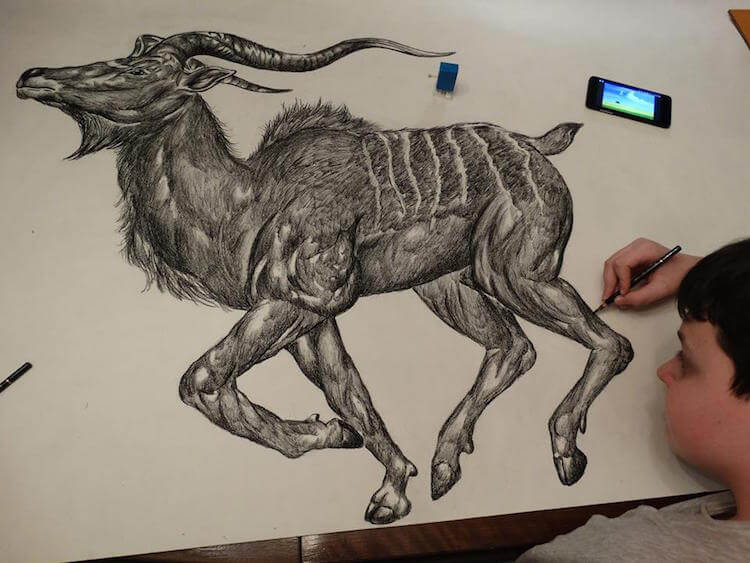 15-Year-Old Boy Illustrates Stunning Animal Drawings From Memory