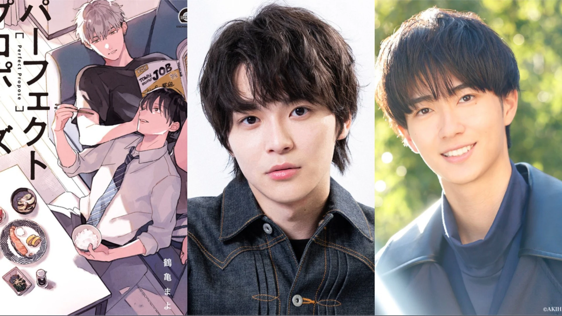 BL Comedy Romance Manga 'Perfect Propose' to Be Adapted into Drama, Starring Kota Nomura and Shunya Kaneko