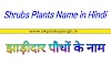 Shrubs Plants Name in Hindi । 35 झाड़ीदार पौधों के नाम