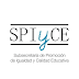 SPIyCE: Novedades Nº 2