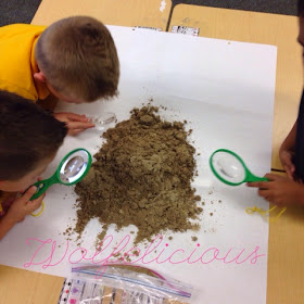 photo of Looking at soil