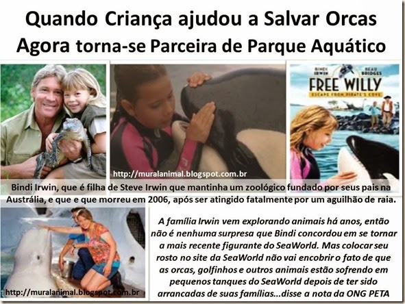 Quando Criança ajudou a Salvar Orcas