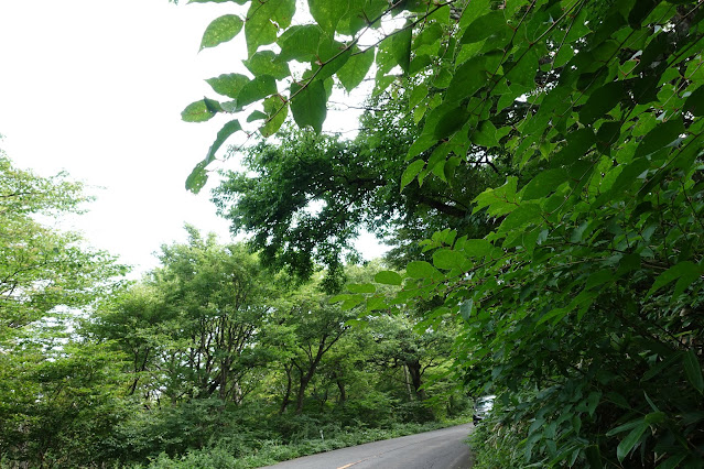 大山環状道路