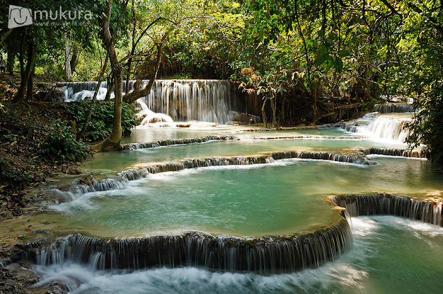 น้ำตกตาดกวางสี (Kuang Si Waterfall) หลวงพระบาง