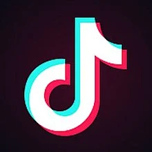 alasan mengapa pemerintah memblokir aplikasi tiktok di indonesia