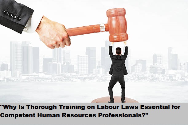  "Why Is Thorough Training on Labour Laws Essential for Competent Human Resources Professionals?"