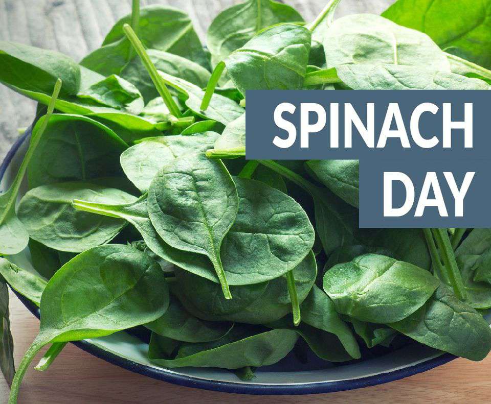 National Spinach Day Wishes Lovely Pics