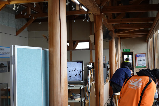 鳥取県米子市彦名新田 米子水鳥公園 観察棟