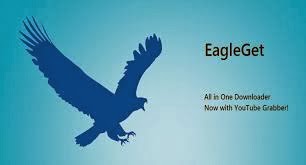 تحميل برنامج EagleGet 1.1.8.0 لتحميل الملفات من الانترنت بسرعة اكبر