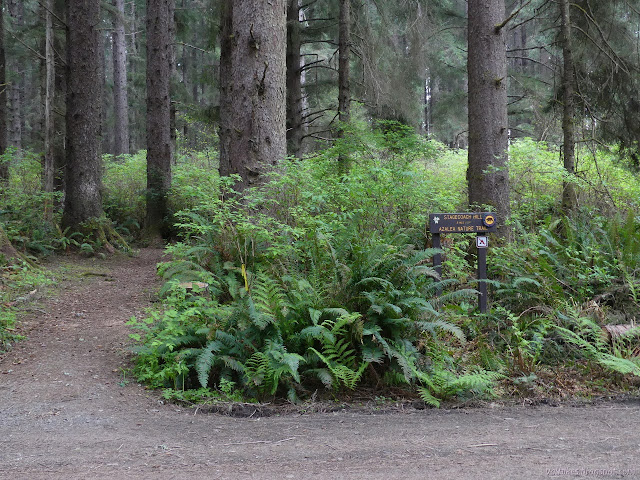 small sign next to a big trail