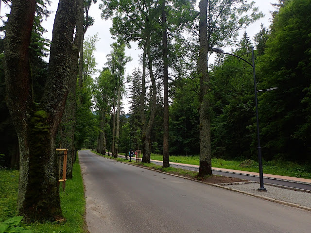 Droga w kierunku Kuźnic