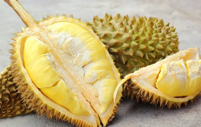 Supplier Jual Durian Montong Gorontalo Terlaris