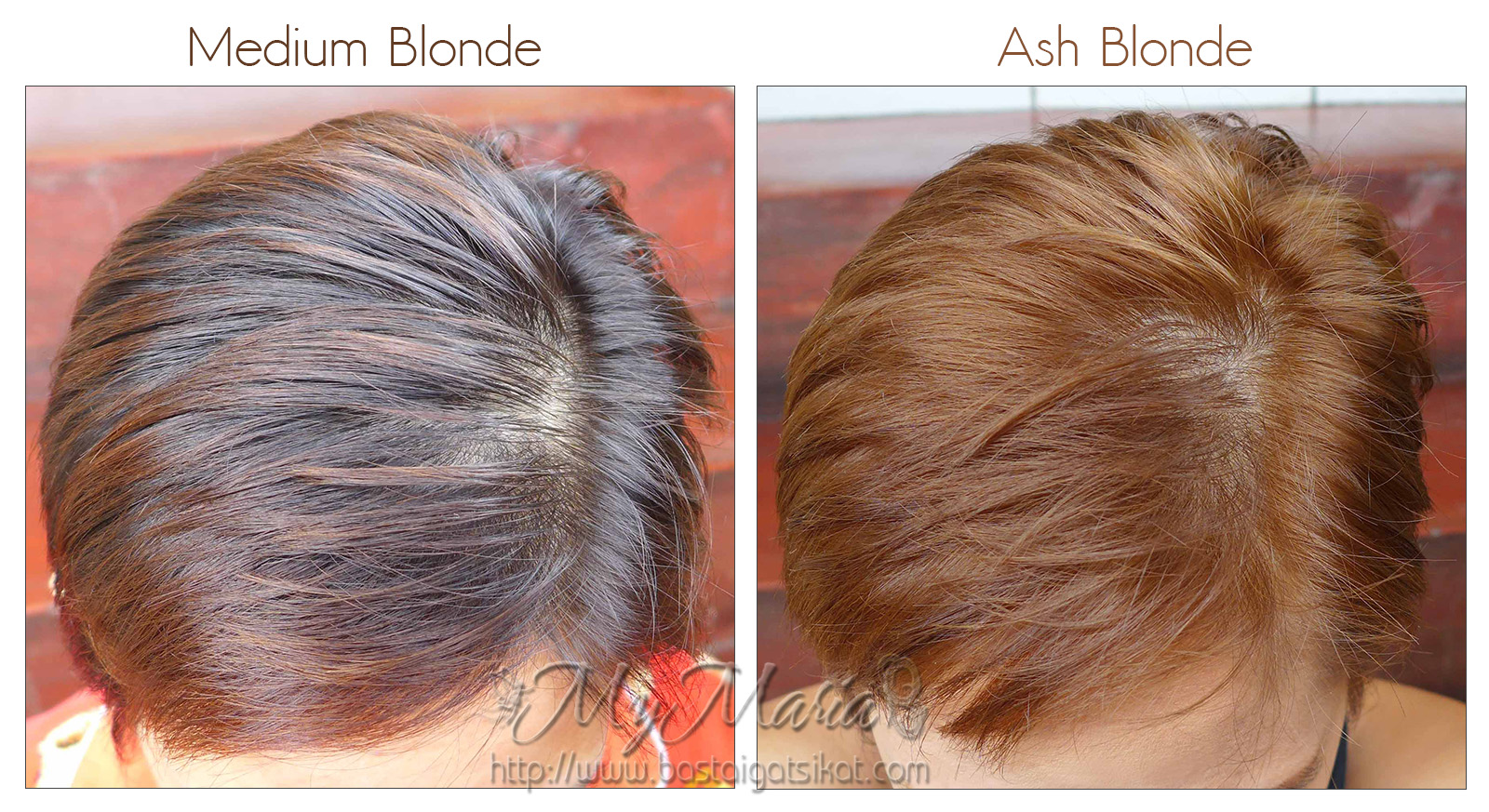 HBC Hortaleza Ash Blonde V2 Basta Igat Sikat By MyMaria