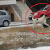 ΕΠΙΚΟ "ΝΤΟΥ" σκύλου σε σπίτι... με λεία ένα χαλί για να ζεσταθεί στα Τρίκαλα