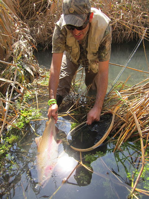 fly fishing in Iran